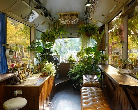 覆蓋滿滿植栽的公車咖啡廳，戶外沙坑、鞦韆放電更加分～苗栗鹿角Café