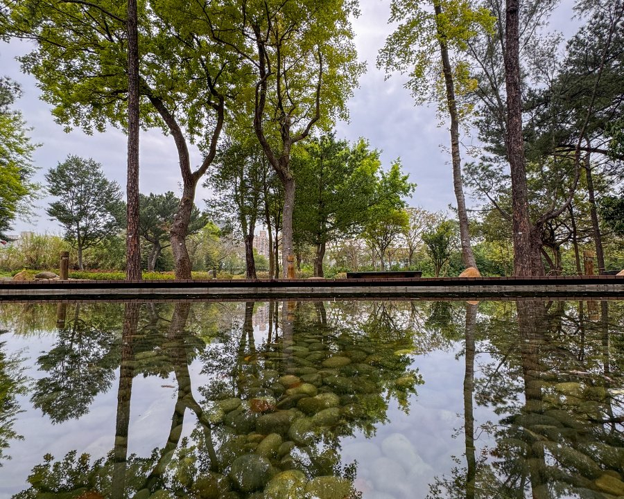 舊營區大改造，都市中的生態綠洲～桃園大湳森林公園