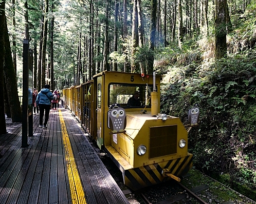 紅葉隧道賞楓×森林蹦蹦車，秋色一日遊～宜蘭太平山森林遊樂區