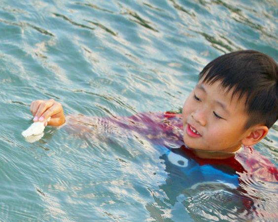 堆沙堡、泡水餵魚鮮體驗～台東杉原海洋生態保育公園(富山禁魚區)