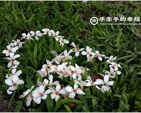 桐花公園客家大院