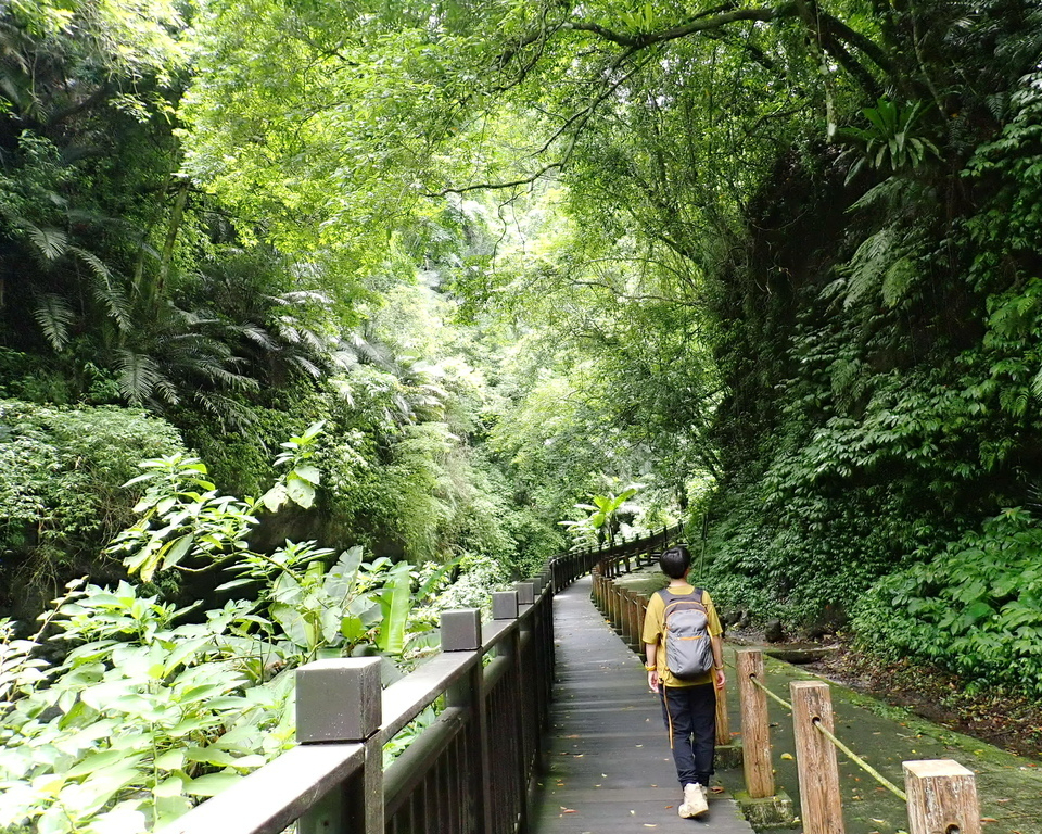 梵音繚繞百年糯米橋，古樸中見幽靜～新竹水濂洞步道＋水濂橋步道＋藤坪步道＋六寮古道