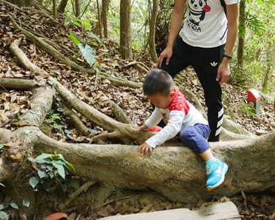 城市中當個野小孩，爬山認識在地動物～嘉義蘭潭風景區後山步道