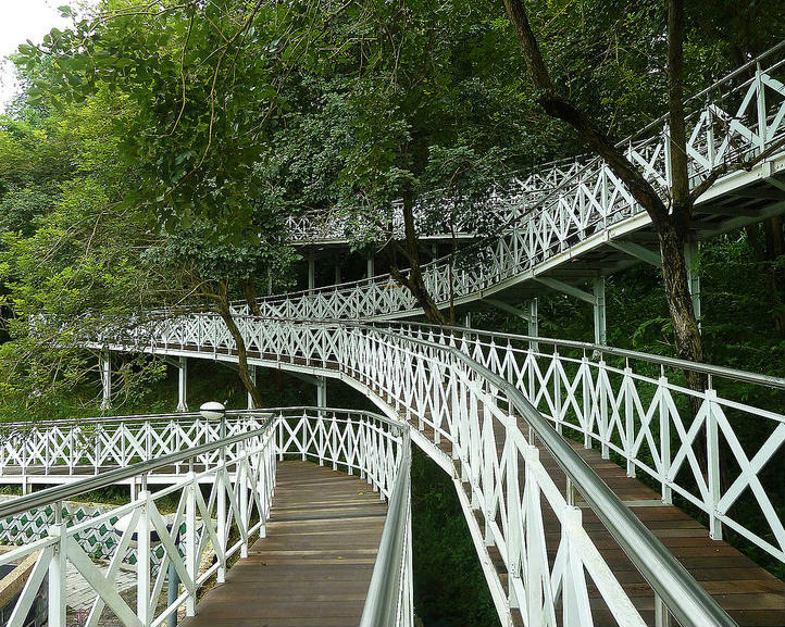 浪漫的花仙子步道，試膽的天空走廊！嘉義竹崎親水公園