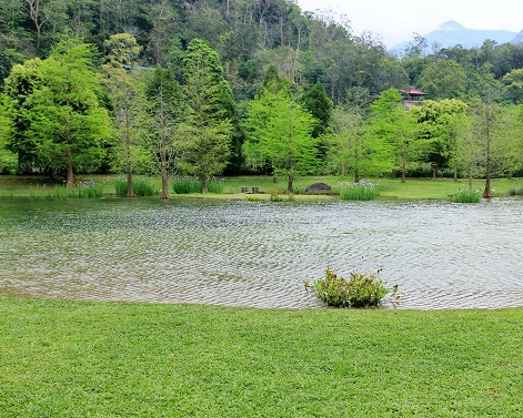 隱藏版小雲山水，波光粼粼世外桃源fu～苗栗南庄雲水度假森林