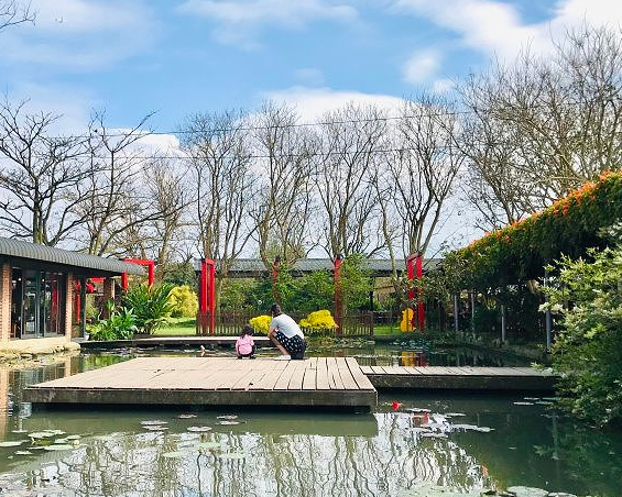 春採莓夏賞荷，雙農場玩耍找樂去～桃園林家古厝、草菓農場