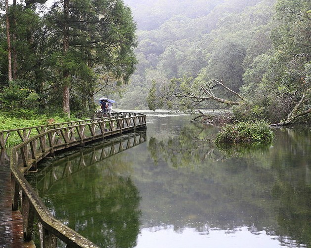 宛如仙境般的自然生態秘境～宜蘭福山植物園