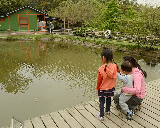 體驗釣魚、悠閒露營的好去處～苗栗茶書坊健康園區