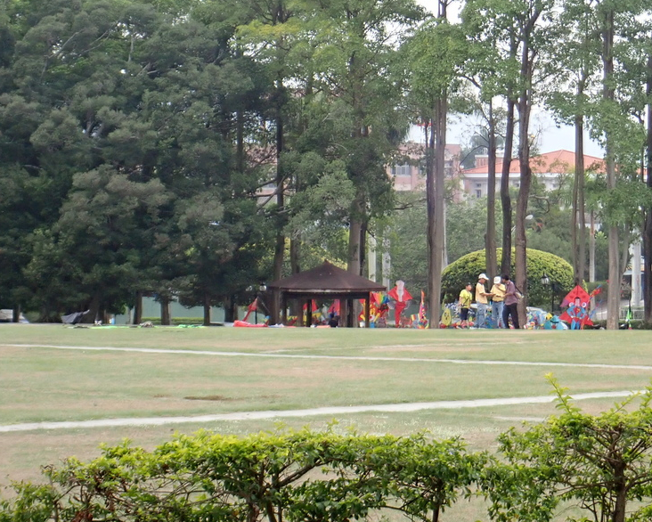 難易適中O型步道，大草坪放風箏野餐去～南投虎山登山步道