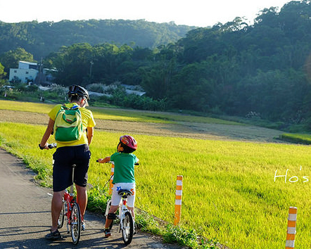 單車賞花趣！北台灣最美田園版伯朗大道花海～桃園楓樹村