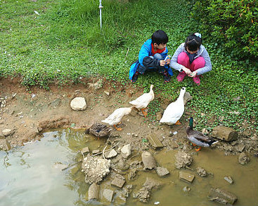 親子秘境－ 明德水庫日新島(湖中島)，悠閒水榭樓台湖畔邊