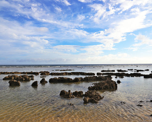 擁抱椰林星空＋無敵海景，和魚蟹一同悠遊～屏東潮間帶露營趣