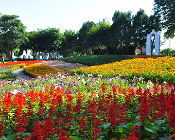 就是愛荔枝樂園Alice's Garden