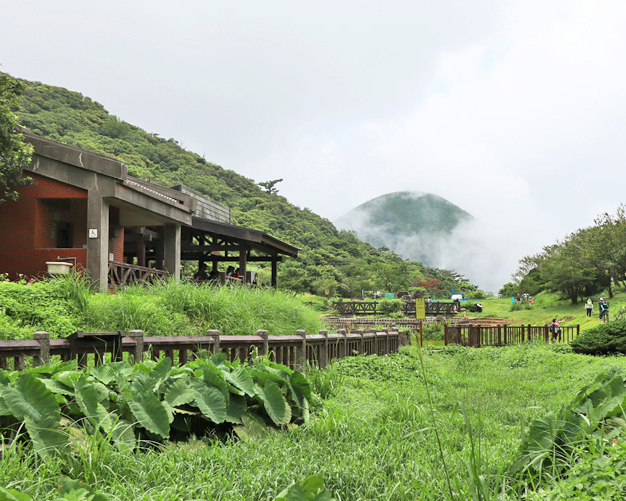 無障礙森林步道，輕鬆徜徉大自然～三芝陽明山二子坪步道