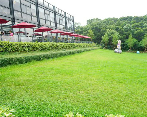 千坪綠地草皮與歐式Buffet的邂逅～新竹綠芳園咖啡庭園餐廳