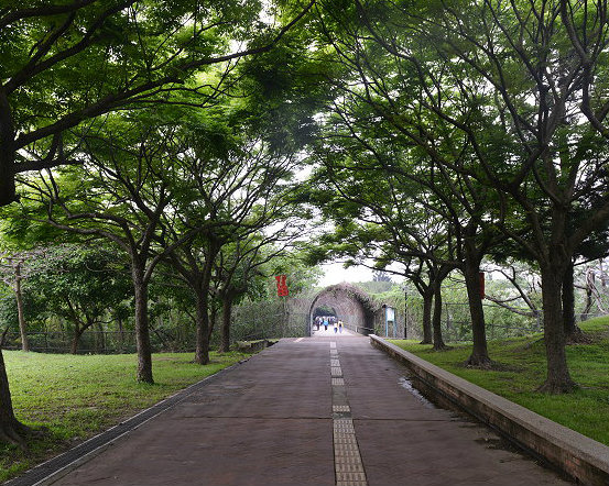 大溪埔頂公園：萬坪草地親子野餐趣