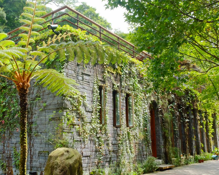 大片草地＋湖畔美景，世外桃源森林系餐廳～苗栗綠葉方舟