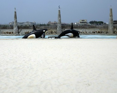 超大白沙坑、鯨魚戲水池，適合全家同樂的無料景點～嘉義東石漁人碼頭