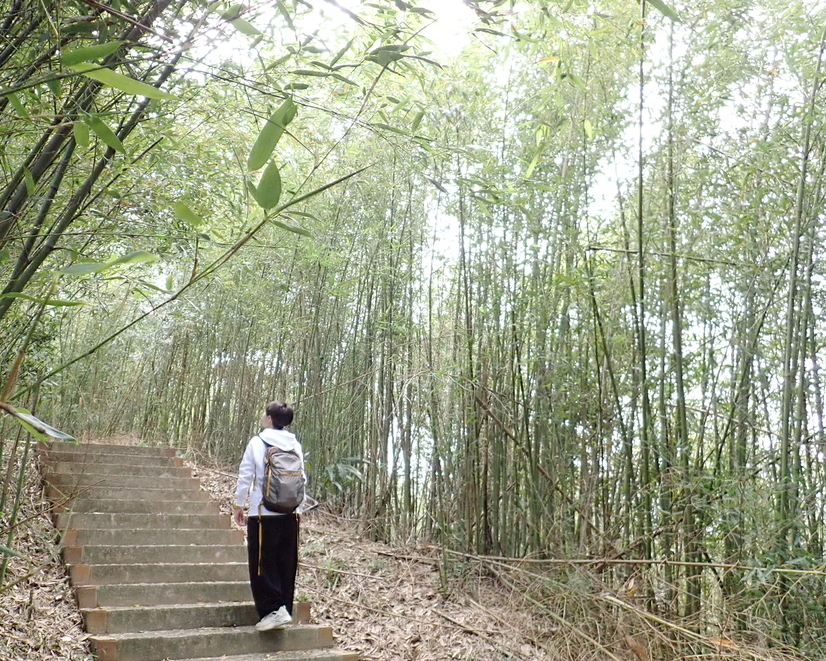 不怕遠不怕餓，多重存檔點隨時登出再登入～新竹十二寮登山步道