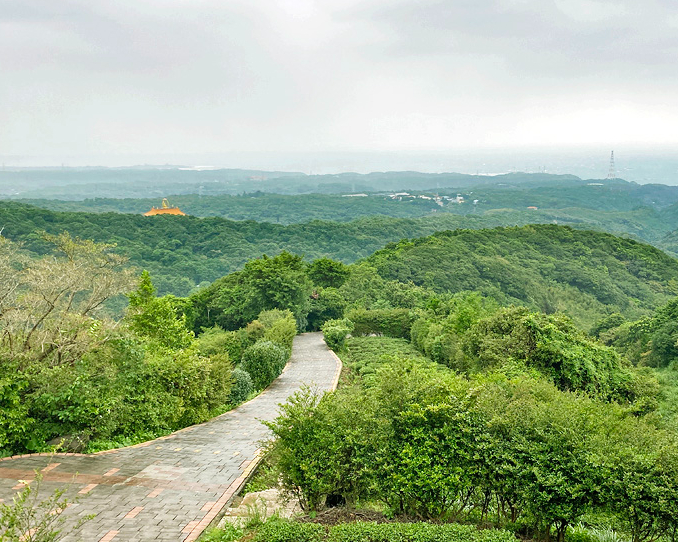 茶園×竹林×海景，在山邊享受潮汐相伴～石門茶山步道