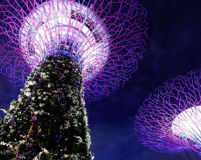 仙氣雲霧森林、擎天樹華麗燈光秀，日夜都精彩～新加坡濱海灣花園
