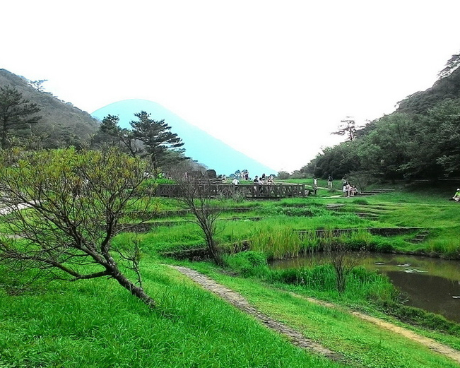 推娃娃車去登山？超棒的無障礙親山步道～陽明山二子坪步道