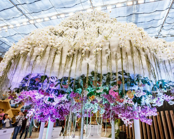 2018臺中世界花卉博覽會 后里馬場園區 2018 11 03 2019 04 24 景點 親子旅遊 Kidsplay親子就醬玩
