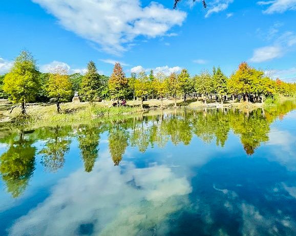 季節限定落羽松，串連湖光山色與古厝～桃園月眉人工濕地生態公園