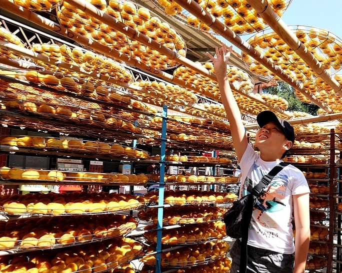 九降風吹來的美味，看曬餅、柿柿都如意～新竹味衛佳柿餅觀光農場