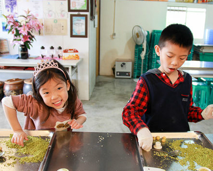 手工綠茶糕DIY，大人小孩攏鵝樂～宜蘭芳岳茶園