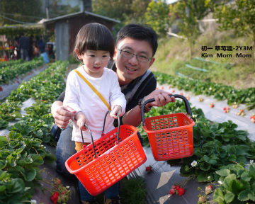 公主草莓園