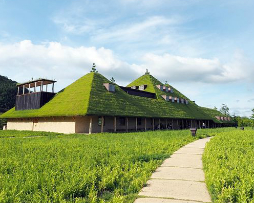 綠油油、甜蜜蜜，歡迎來到小山丘甜點世界～日本La Collina 近江八幡