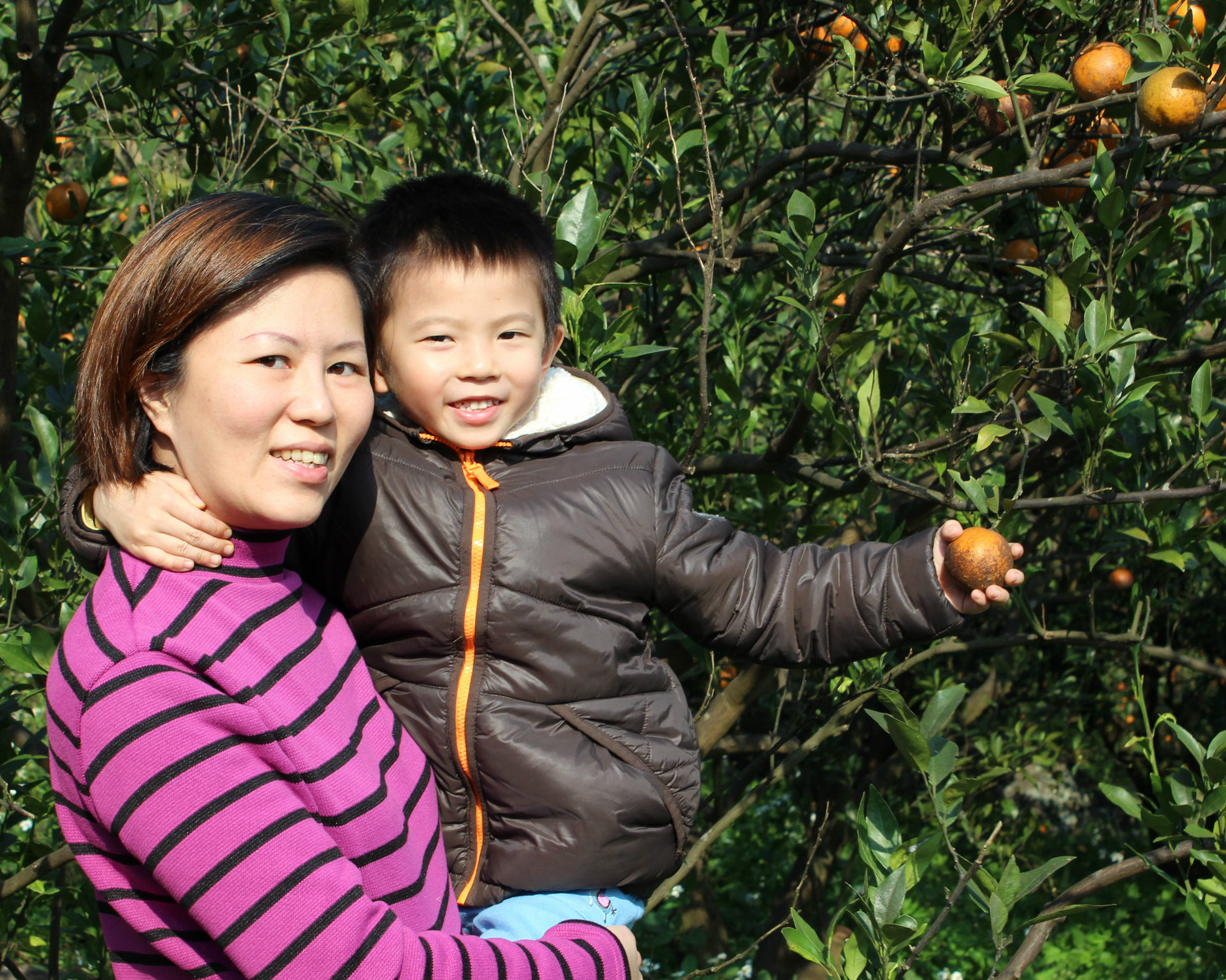 酸酸甜甜的橘子也是冬日小確幸～台北清香農場
