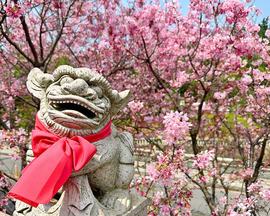 閩式廟宇建築×日式風格庭園，祈福兼賞櫻～林口竹林山觀音寺