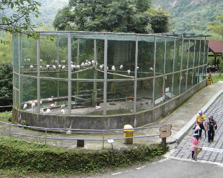 鳳凰谷鳥園生態園區