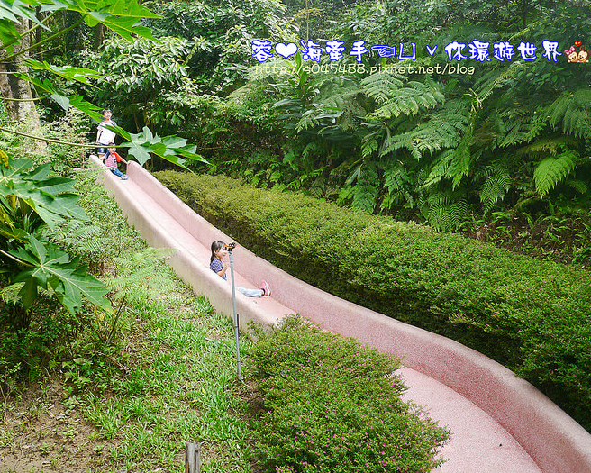 滑梯、沙坑、攀岩、樹屋，還有迷宮區來玩躲貓貓～新竹森林鳥花園(已歇業)