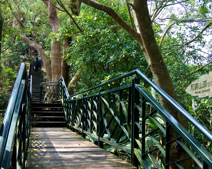 雙線步道！綠線一覽山水美景、藍線橫渡百年輕舟～新店和美山登山步道