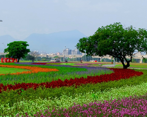 色彩繽紛的彩虹花毯～三重幸福水漾公園