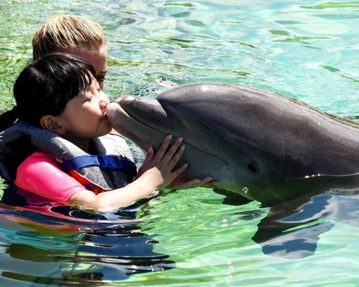 給海豚一個愛的抱抱～夏威夷Sea Life Park Hawaii