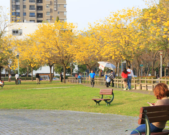 春天到了，最美黃金公園開張～台中廍子公園