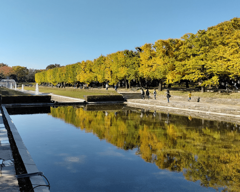 一年四季不同色彩，遊玩賞景通通有～東京國營昭和紀念公園