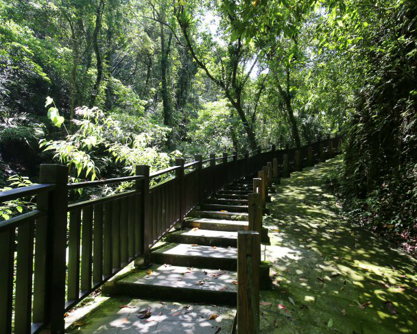 綠樹遮蔭步道，一路清涼到底～新竹水濂橋步道